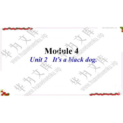 小三上英语外研社（三起点）版目录行数：12）；本节内容：Module 4 Unit 2 It’s a black dog（教学课件）；第1个课件；小学英语外研社版（三起点）三年级上册(共23张PPT)