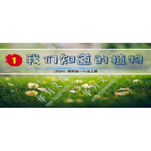 小一上科学科教版目录行数：2）；本节内容：1.1我们知道的植物（1课时）（教学课件）；第1个课件；小学科学科教版（2024）一年级上册(共36张PPT)