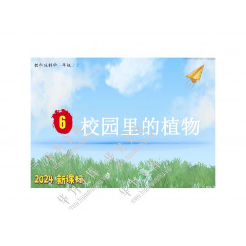 小一上科学科教版目录行数：7）；本节内容：1.6 校园里的植物  （教学课件）；第1个课件；小学科学科教版（2024）一年级上册(共60张PPT)