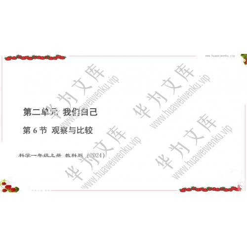 小一上科学科教版目录行数：16）；本节内容：2 .6 观察与比较（教学课件）；第1个课件；小学科学科教版（2024）一年级上册(共19张PPT)